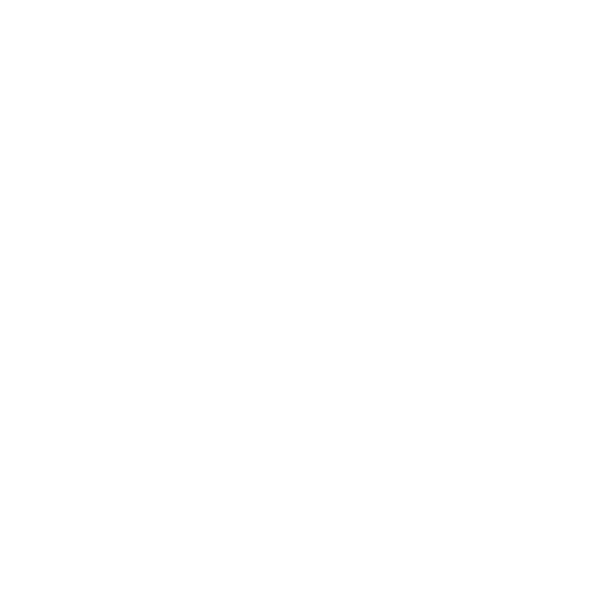 Carolina ADHD Coaching